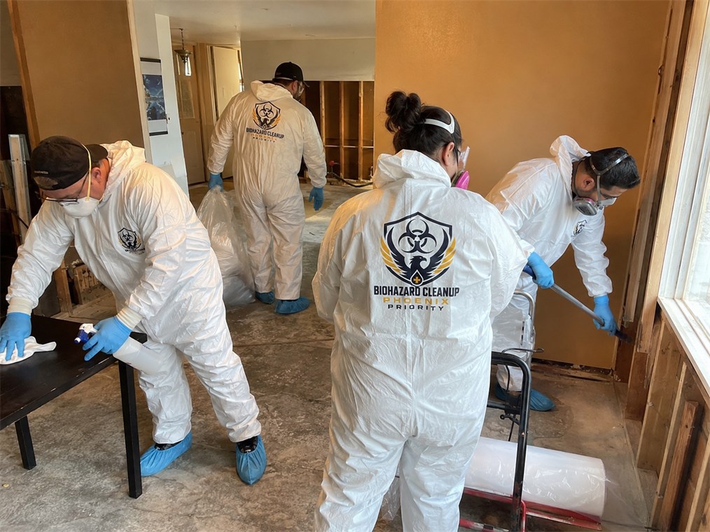 Professional cleanup team working in protective equipment