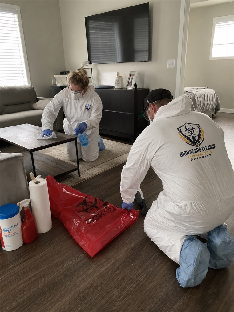 Cleanup team working inside a property