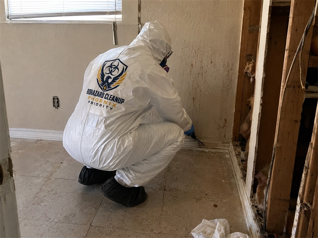 Cleanup technician carefully working inside a property