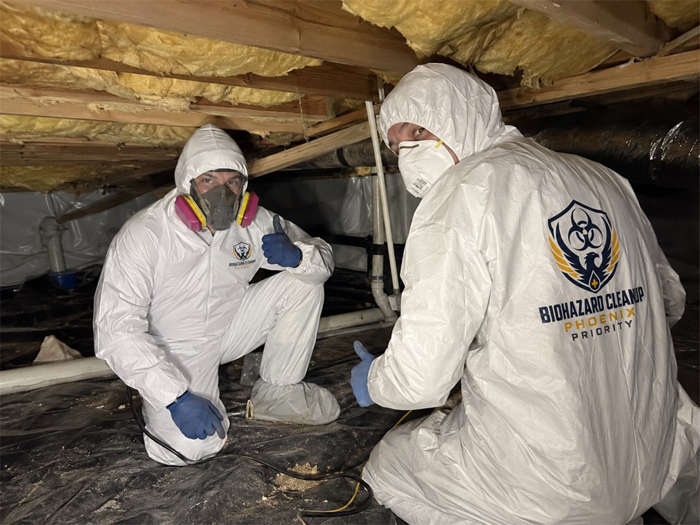 Cleanup team wearing protective equipment inside a property access area